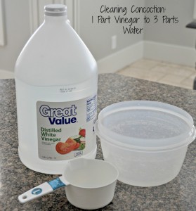 Glass Cleaning Concoction for frosted glass