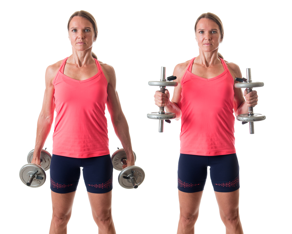 Hammer curl exercise. Studio shot over white.