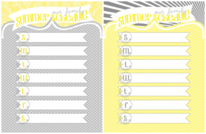 Our Family Summer Schedule4