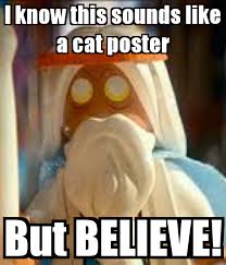 Cat Poster