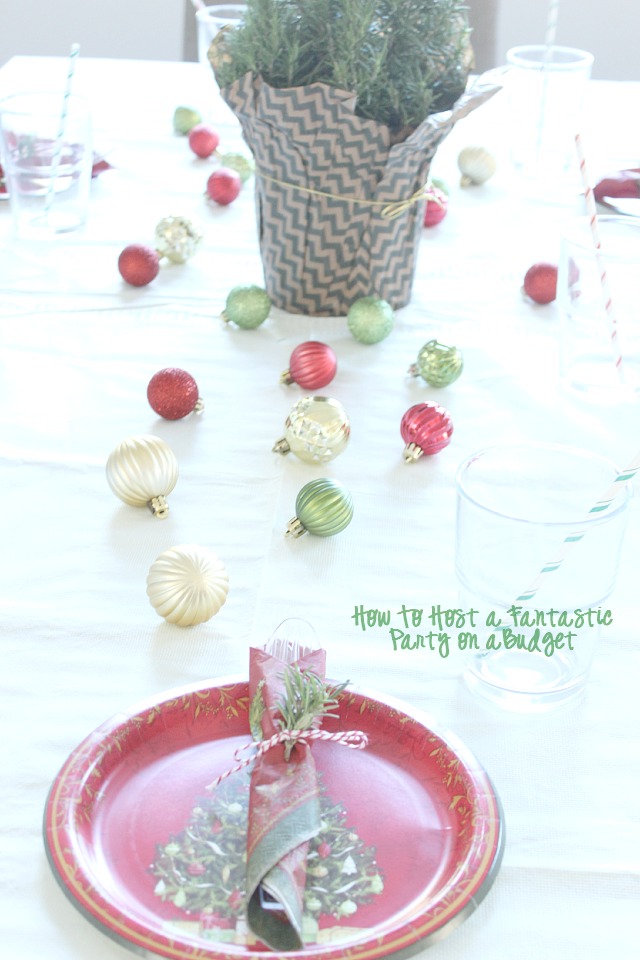 Hosting a Party on a Budget