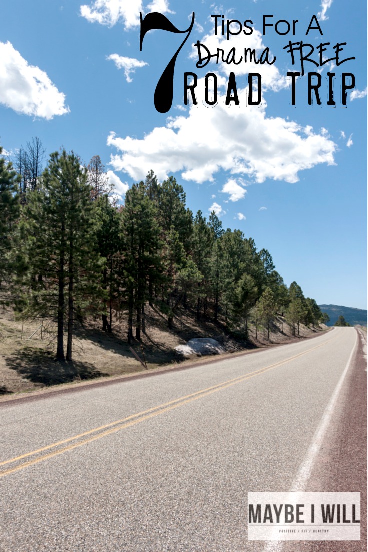7 Tips For A Drama Free Road Trip