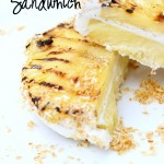 These Tropical Ice Cream Sandwiches are what dreams are made of!! Ice Cream + Grilled Pineapple+ Toasted Coconut = PURE perfection!