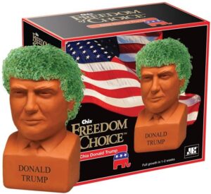 Donald Trump Chia Seed Head