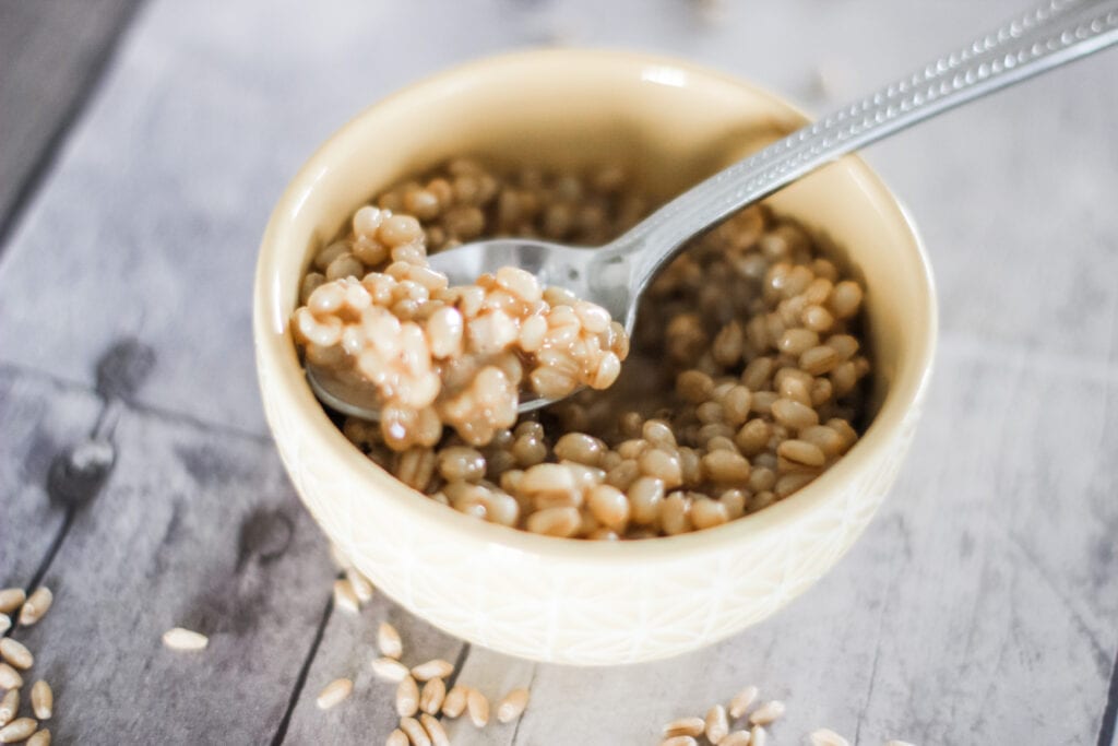 With only two ingredients, these Instant Pot wheat berries are a breeze to throw together and make a nutrient-packed breakfast.