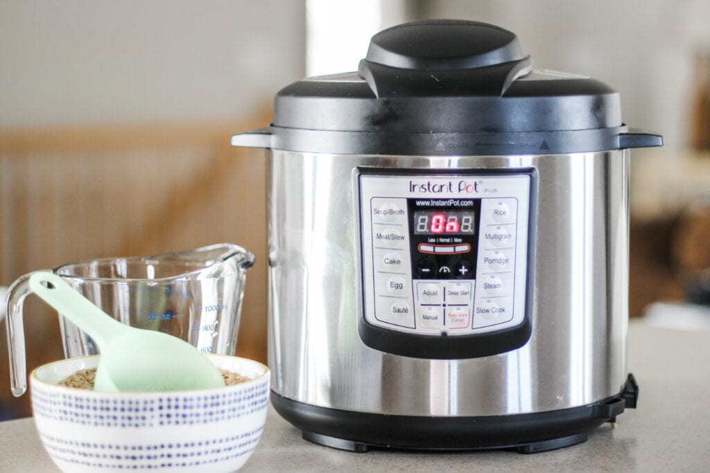 With only two ingredients, these Instant Pot wheat berries are a breeze to throw together and make a nutrient-packed breakfast.