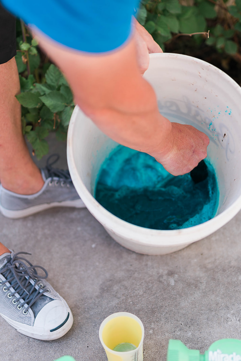 This Viral Mixture Is THE Answer To How To Make Plants Grow Faster!