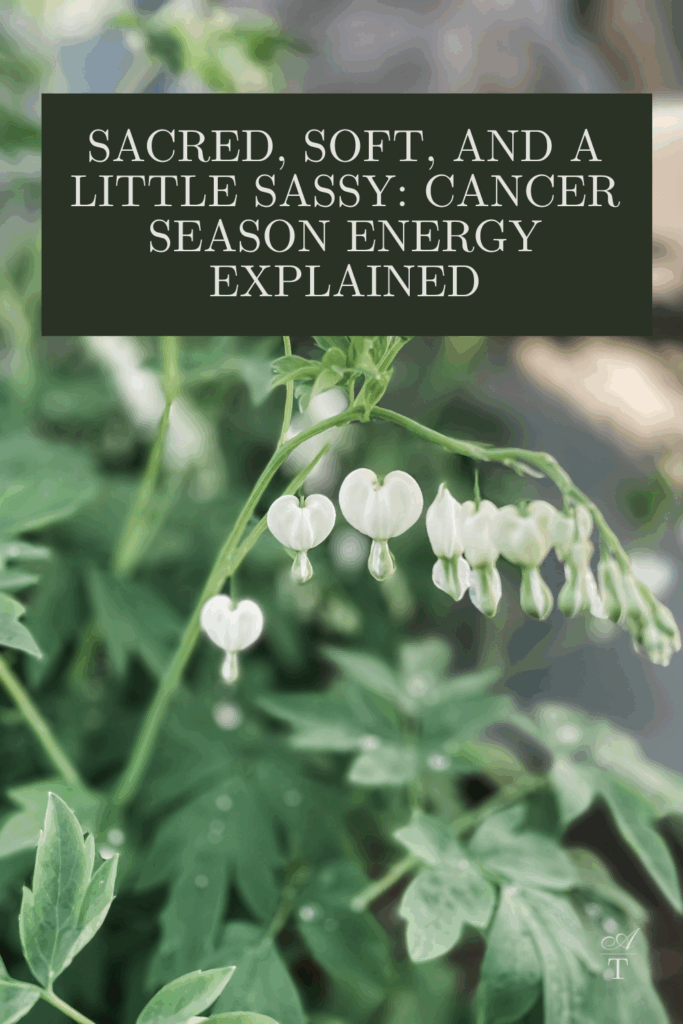 Cancer Season Energy - An image closeup of beautiful white bleeding hearts that are a symbol of home for Andie - The words "Sacred, Soft, and a Little Sassy: Cancer Season Energy Explained" are written over the image 
